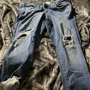 Torrid Jeans size 22